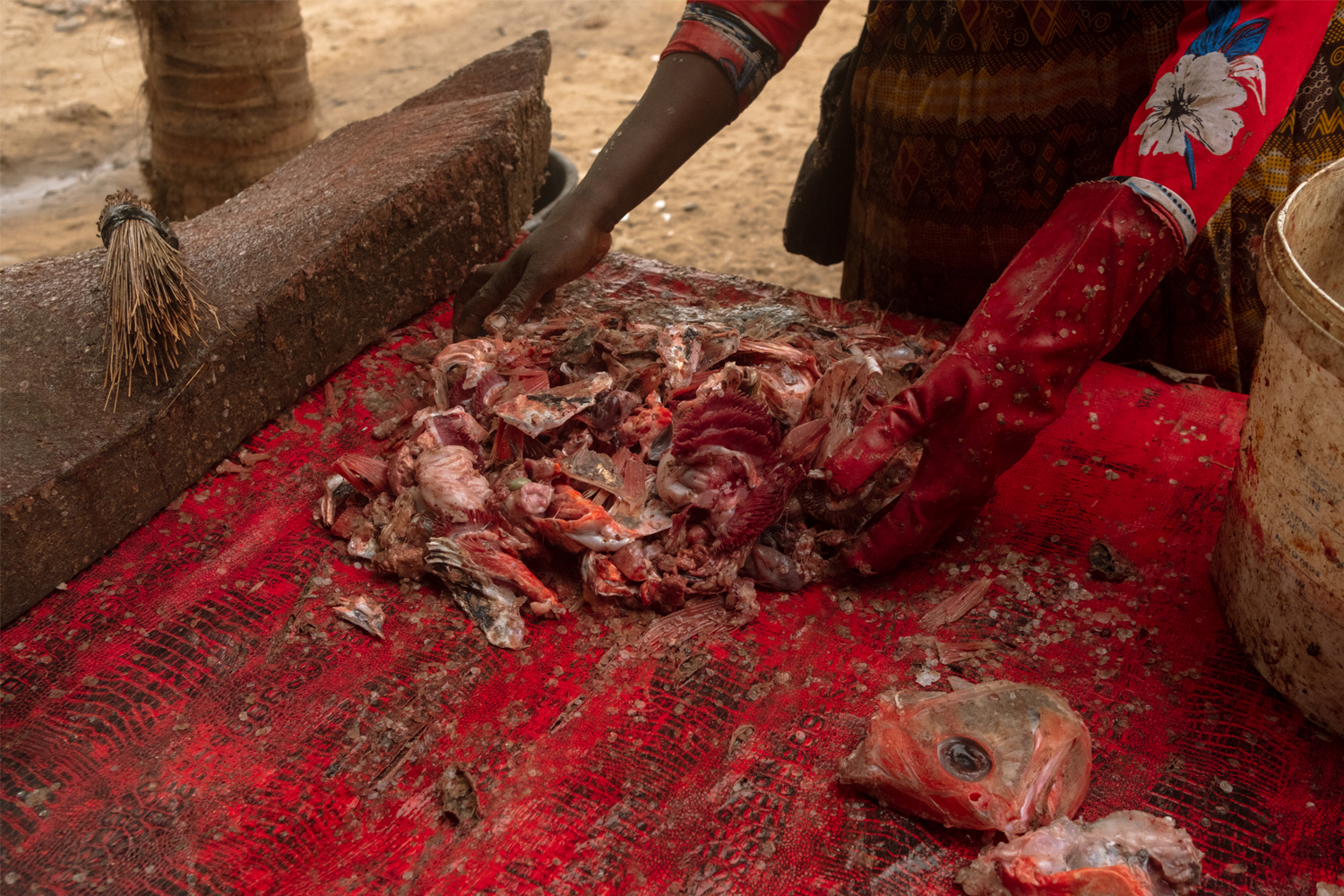 A woman discards the remnants of the fish leftover from her inventory in Oakam, Senegal. 